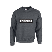 Load image into Gallery viewer, Cambria $Lim Sweatshirt