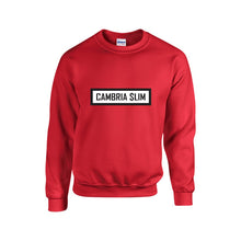 Load image into Gallery viewer, Cambria $Lim Sweatshirt